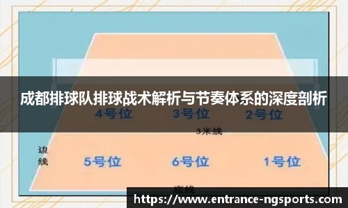 成都排球队排球战术解析与节奏体系的深度剖析